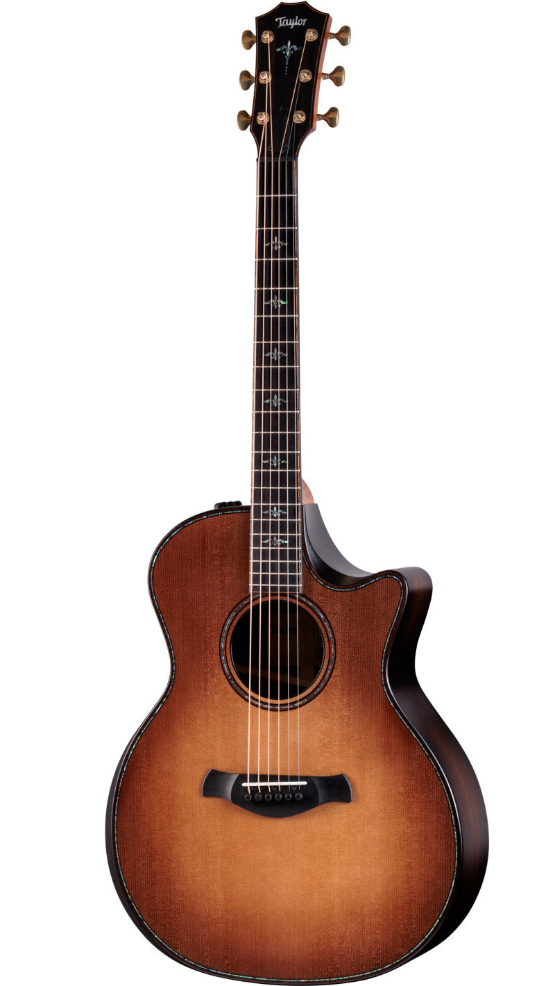 ギター Taylor 914ce Builder's Edition 914ce WHB Indian Rosewood Acoustic